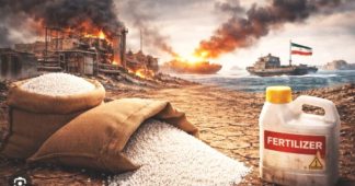 Iran War Threatens World Food Crisis