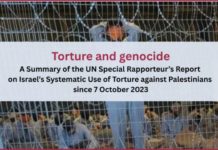 UN expert warns torture has become ‘state doctrine’ in Israel, making prisons instruments of genocide and torture