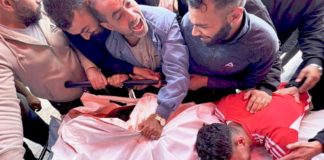 WHO Suspends Medical Evacuations from Gaza After One of Its Workers Killed by Israeli Fire