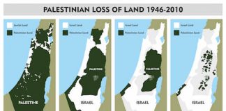 Americans believe Palestinians occupy Israeli land!