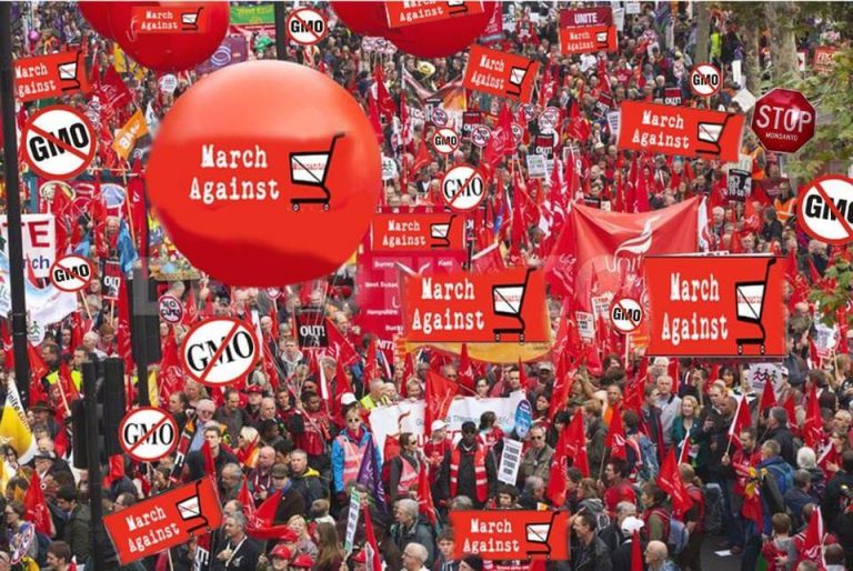 Berlin backs Monsanto, people are revolting against it.