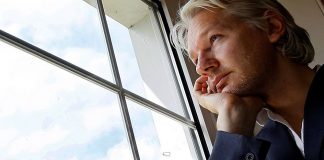 Julian Assange Backs Brexit, Says Cameron Govt ‘Launders’ Decisions to EU
