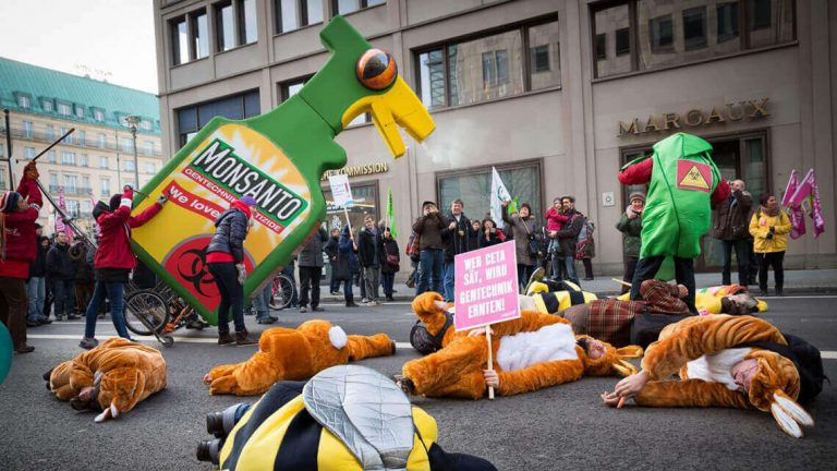 Commission approves import of Monsanto GMOs