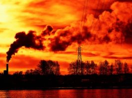 An open letter to the Australian PM on the climate crisis, from 154 scientists