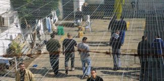 Over 100 Palestinian Political Prisoners on Hunger Strike