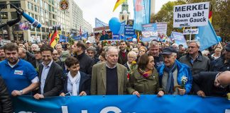 Why Germans vote AfD