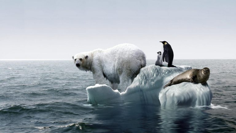 Trump May Be Making Republicans Increasingly Doubt Global Warming