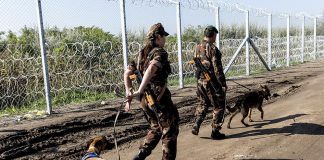 Of Folk Devils And Moral Panic: Hungary’s Referendum On Mandatory EU Migrant Quotas