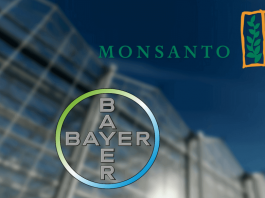 Trying to become owners of Life - Bayer/Monsanto's marriage in hell