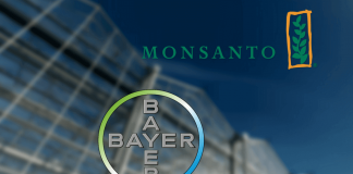 Trying to become owners of Life - Bayer/Monsanto's marriage in hell