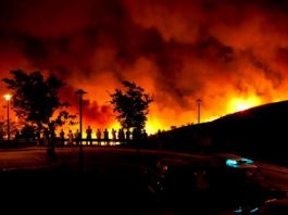 Portugal’s response to forest fires undermined by austerity