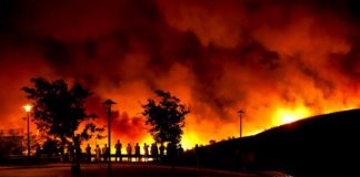 Portugal’s response to forest fires undermined by austerity