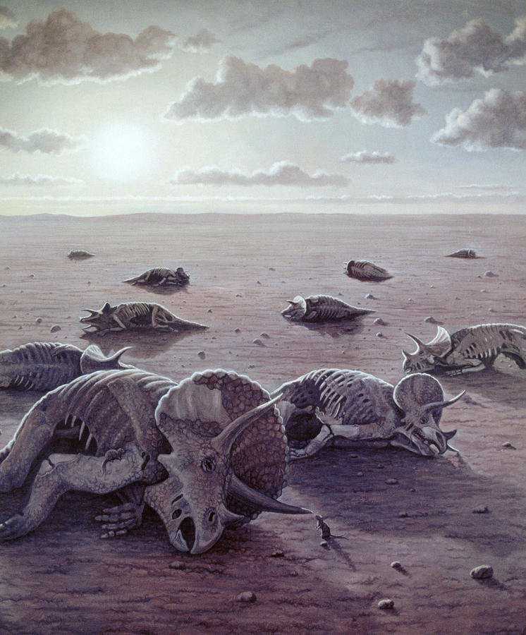 Will Humans Survive the Sixth Great Extinction?