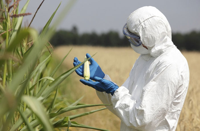 The Seeds Of Suicide: How Monsanto Destroys Farming