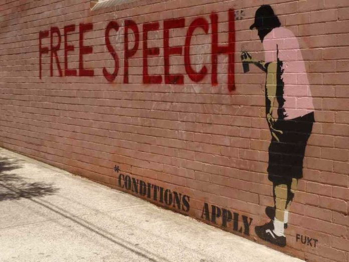 Fighting Neo-Nazis and the Future of Free Expression