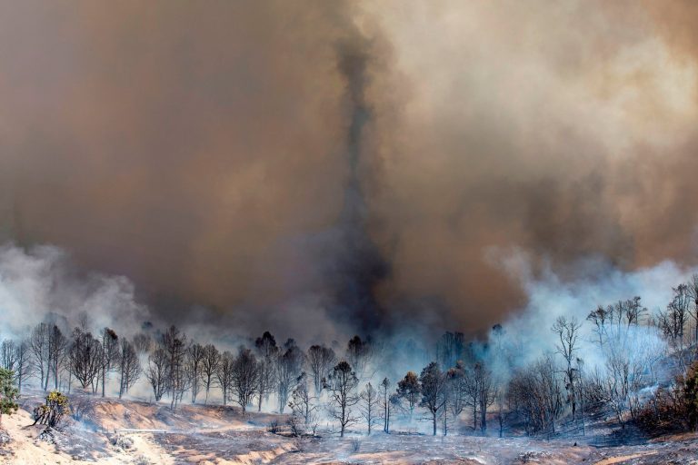 Thirteen US Federal Agencies admit Human Activity is Causing Temperature Rise