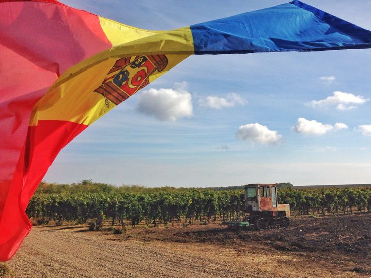 Moldova – zone of geopolitical clashes or the golden bridge between East and West? | By Iurie Roșca
