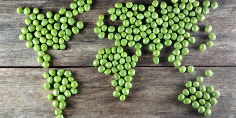 What would happen if the world suddenly went vegetarian