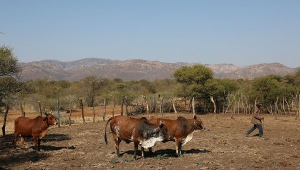 Africa: Revolutionary Intellectuals ‘Inspired By Latin America’ | by Andre Vitchek