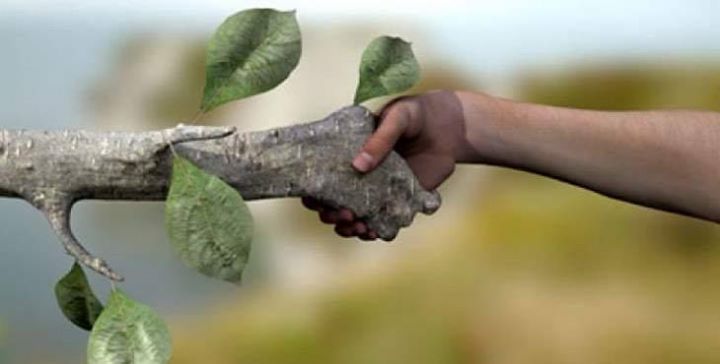 The need to respect nature and its limits challenges society and conservation science