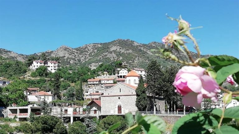 ‘Gift of nature from Damascus’: Cypriot village smells the roses