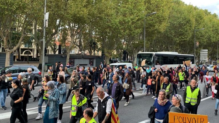 Gilets Jaunes et femmes voilées unis dans la rue à Perpignan