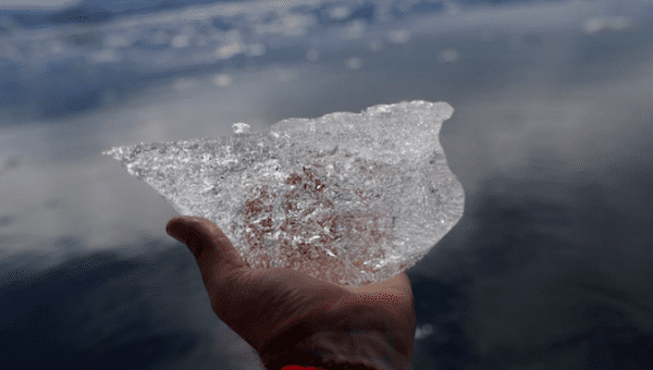 Argentina’s Antarctic Base Records Hottest Temperature Ever
