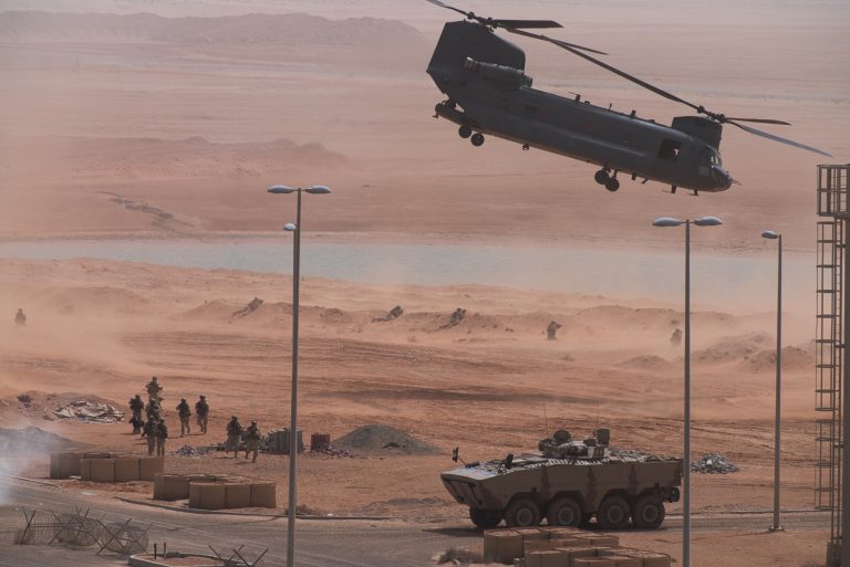 US, UAE Ignore Coronavirus Risk, Hold Anti-Iran War Games