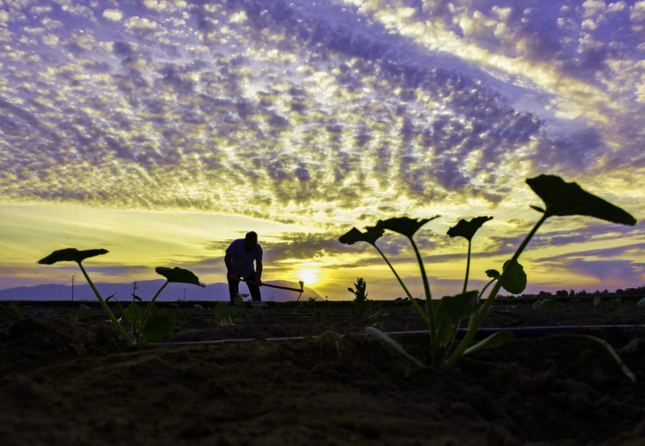 Quarter of Europe’s jobs at risk from coronavirus crisis: report