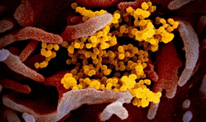 US germ warfare research leads to new early Covid-19 test