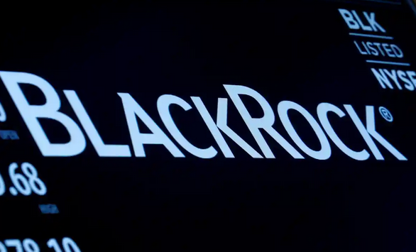 EU: They selected BlackRock as advisor. They are also considering hiring Al Capone to fight criminality!