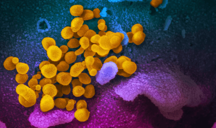 Bulletin of Atomic Scientists Says Risk of Modified Flu Virus Leaking From Labs ‘Unacceptably High’