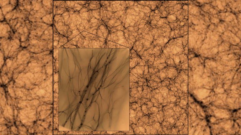 Simulation reveals what elusive DARK MATTER would look like if we could see it