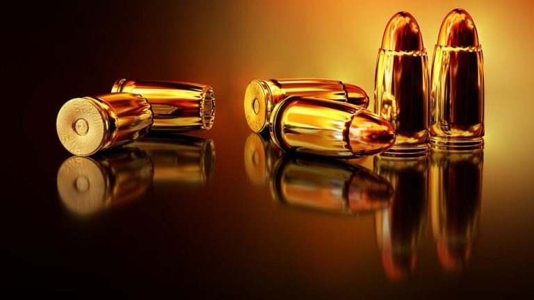 Elus notés, pluie de dollars et spots de pub : aux Etats-Unis, les méthodes de la NRA pour étouffer le débat sur les armes