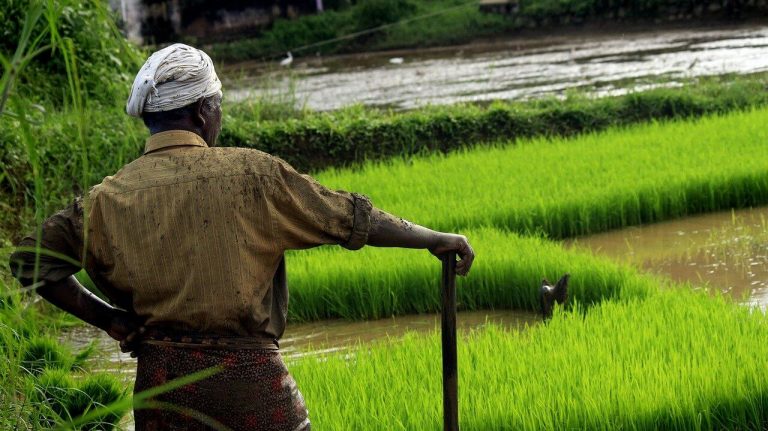 Indian court suspends new agriculture laws after mass protests