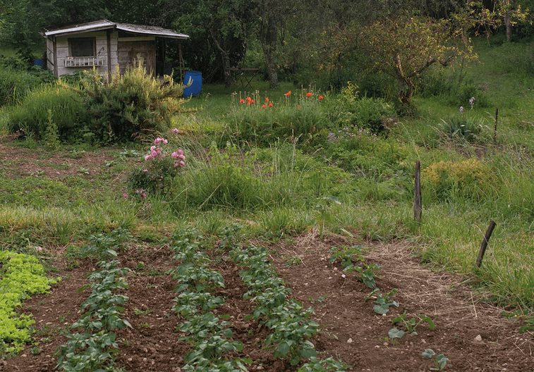 Aux Vaîtes et aux Lentillères, défendre les terres