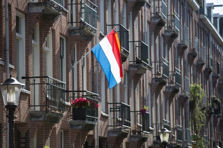 The Dutch Left’s Collapse Shows How It Failed to Politicize the Pandemic