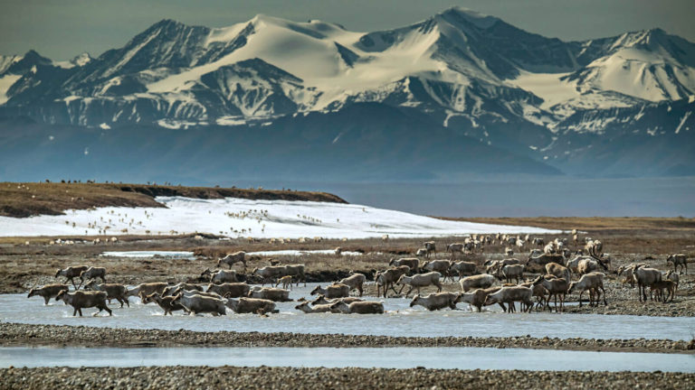The Biden administration plans to suspend Arctic drilling leases issued during the last days of Trump’s term