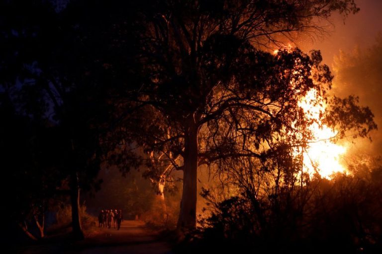 Wildfires roar back to life near Athens as heat fans flames