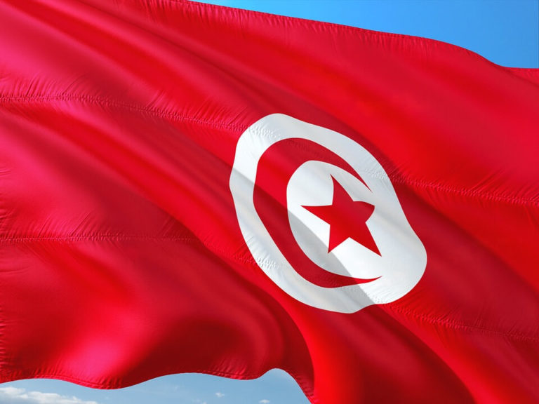 Four Tunisian parties say President Saied has ‘lost legitimacy’