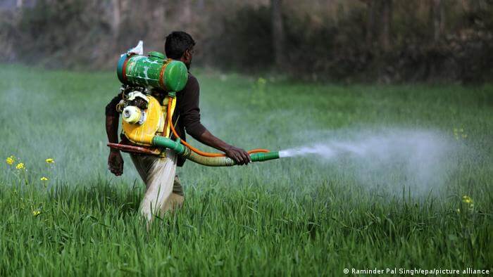 Green groups target poisonings from rising pesticides sales
