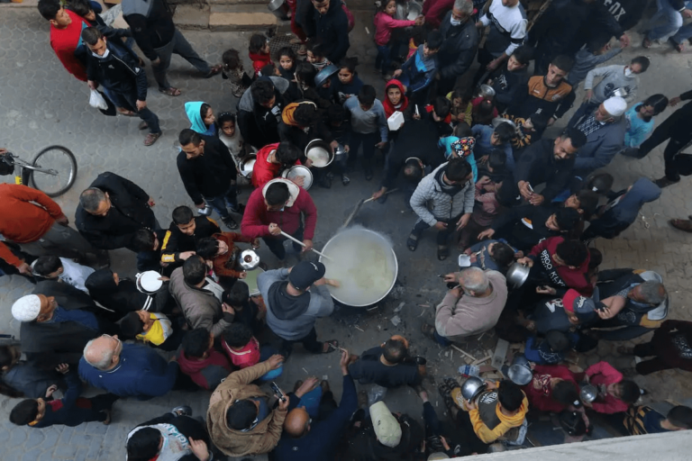 Palestine Needs Immediate Attention To Stave Off Major Food Crisis