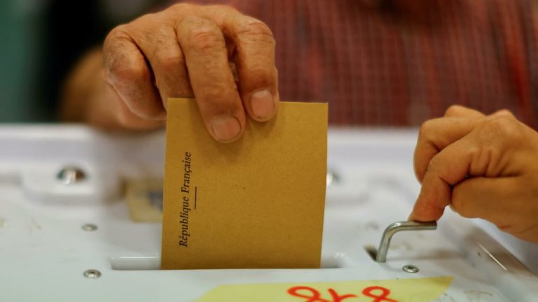 Empêchons une vague brune d’entrer au parlement !