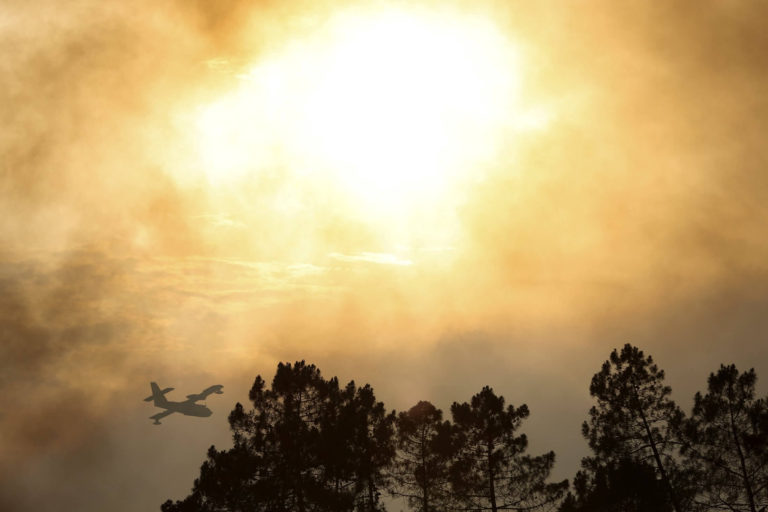 Europe’s “apocalypse of heat” highlights capitalism’s climate crisis