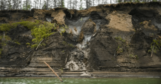 ‘Zombie’ viruses have been revived from Siberian permafrost. Could they infect people?