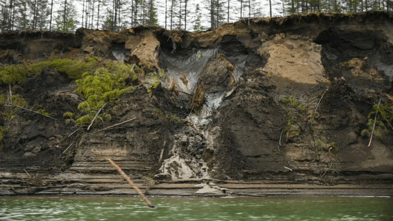 ‘Zombie’ viruses have been revived from Siberian permafrost. Could they infect people?