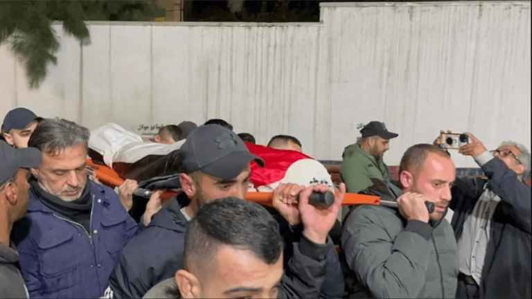 Israeli army confirms killing 15-year-old Palestinian girl in Jenin raid