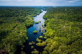 La Amazonia, territorios de esperanza. Por Alberto Acosta