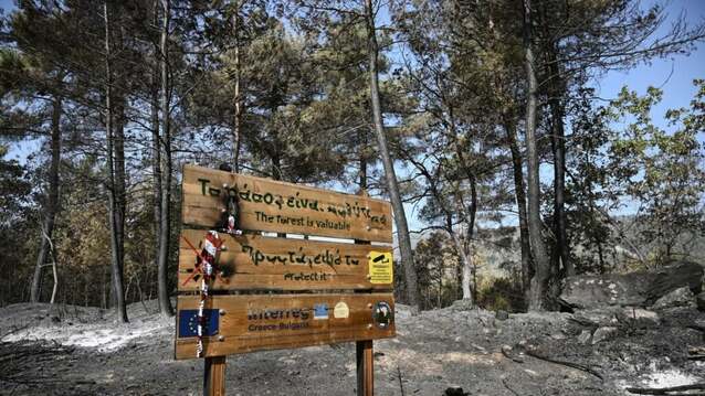 Experts urge better prevention as fires kill people and animals in Greece