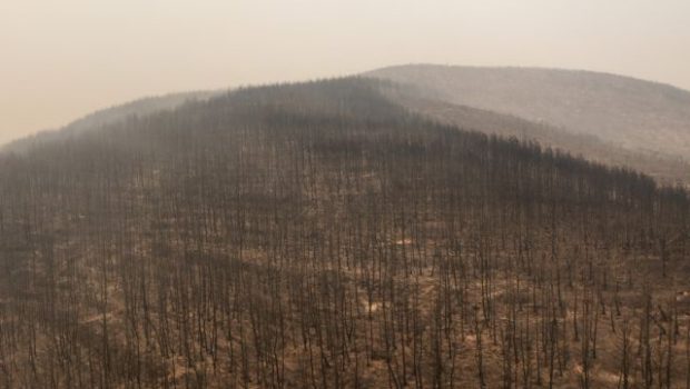 Fire: 935.000 hectares burned – New satellite image of the disaster